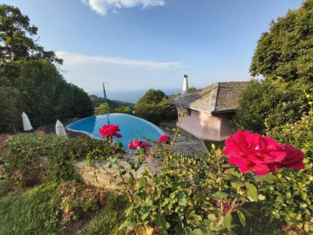 הוילה Tsagkarada Country Estate With Pool מראה חיצוני תמונה